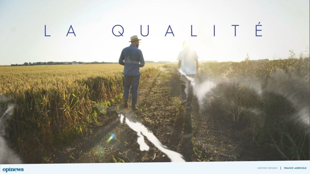 Motion design France Agricole, Opinews