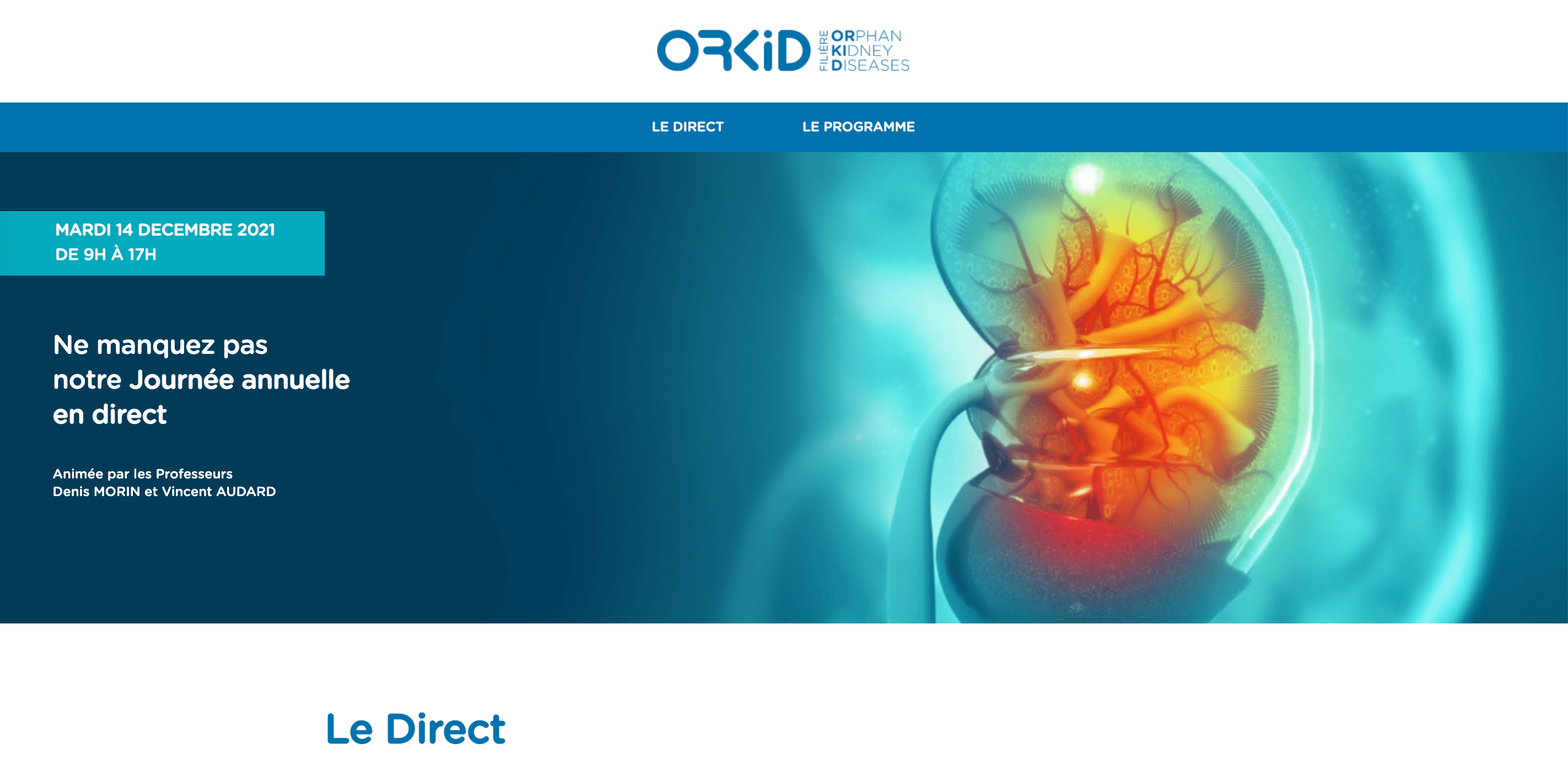 Webinaires ORKID, Opinews